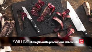 Shop Decor: Zwilling