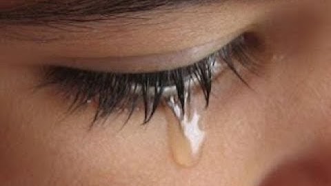 صوت يبكي الحجر (لخالد الجليل) اجمل قراءة للقرآن الكريم