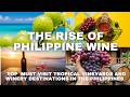 The Must Visit Tropical Vineyards and Winery Destinations in the Philippines this 2026 #travel