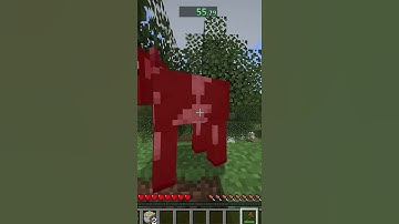 speedrunning a random item Pt.17!!!