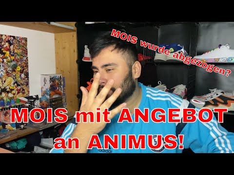Видео: MOIS mit Angebot an ANIMUS!