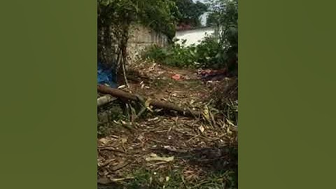 CHÍNH CHỦ bán đất tại Phường Thịnh Đán, TP Thái Nguyên.