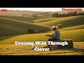 Evening Wild Through Clover