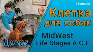 Клетка для собак и животных MidWest Life Stages A.C.E. две двери Клетка для собак и животных MidWest Life Stages A.C.E. две двери