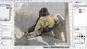 GIMP 2.8 Tutorial - Gorilla & Elephant Combined