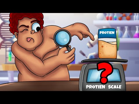 How Much Protein Can You Absorb Per Meal