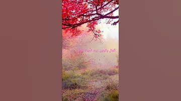 سوره الكهف (المال والبنون زينه الحياه الدنيا)