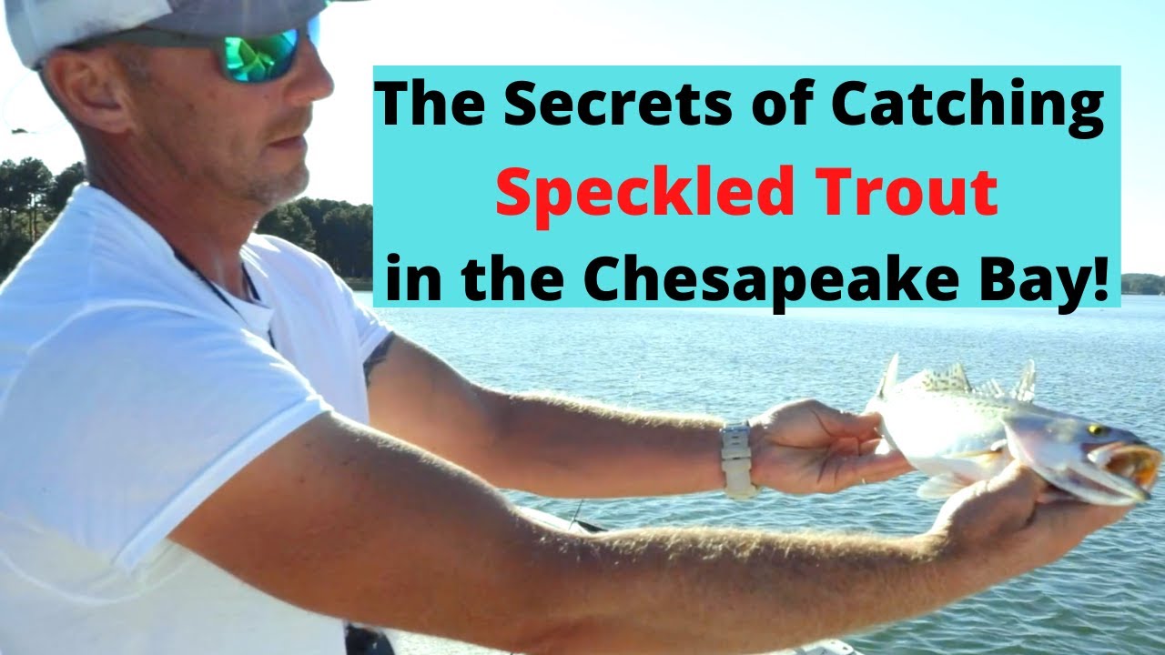 The Secrets to Catching Speckled Trout in the Chesapeake Bay