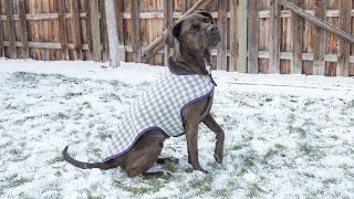 How to Sew a Dog Coat  Pattern and Assembly