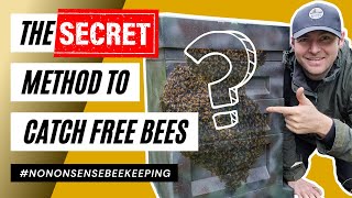 The Secret Method Swarms Of Bees Cannot Resist - How To Catch Free Bees