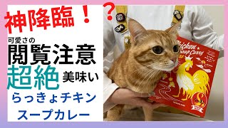 閲覧注意！神降臨！？らっきょチキンスープカレー＊北野エース高級【レトルトカレー】超絶美味いスープカレー紹介☆願い事は叶うのか？