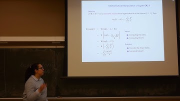 Towards Randomized Algorithms for Estimating Logarithm-based Matrix Functions