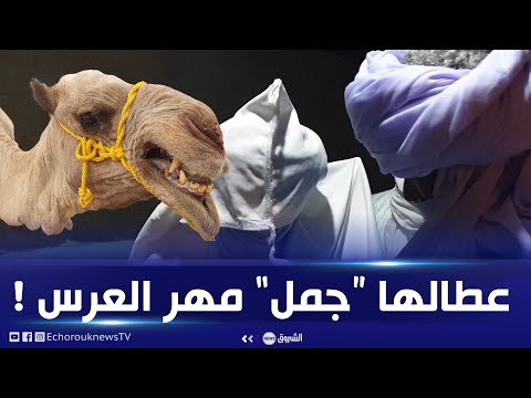 شاهد كيف تزف العروس إلى عريسها عند الطوارق بالأهقار في تمنراست وما هو المهر المقدم لها