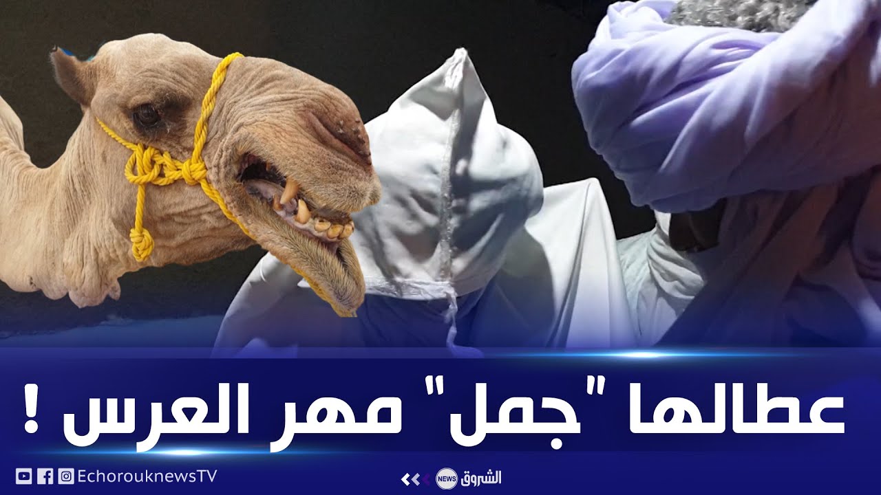 شاهد كيف تزف العروس إلى عريسها عند الطوارق بالأهقار في تمنراست..وما هو المهر المقدم لها؟؟