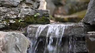 Flowing water\/River -Free Download Nature Videos - No Copyright
