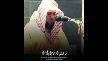 القارئ الشيخ د.#ماهر_المعيقلي_سورة_محمد أكتب شئ تؤجر عليه