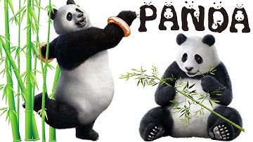 Panda Move List (Command List) | Tekken 7 Season 5 (Patch 5.10) | HD 60 FPS