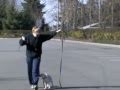 How To Train A Hunting Retriever Puppy How To Train A Hunting Retriever Puppy