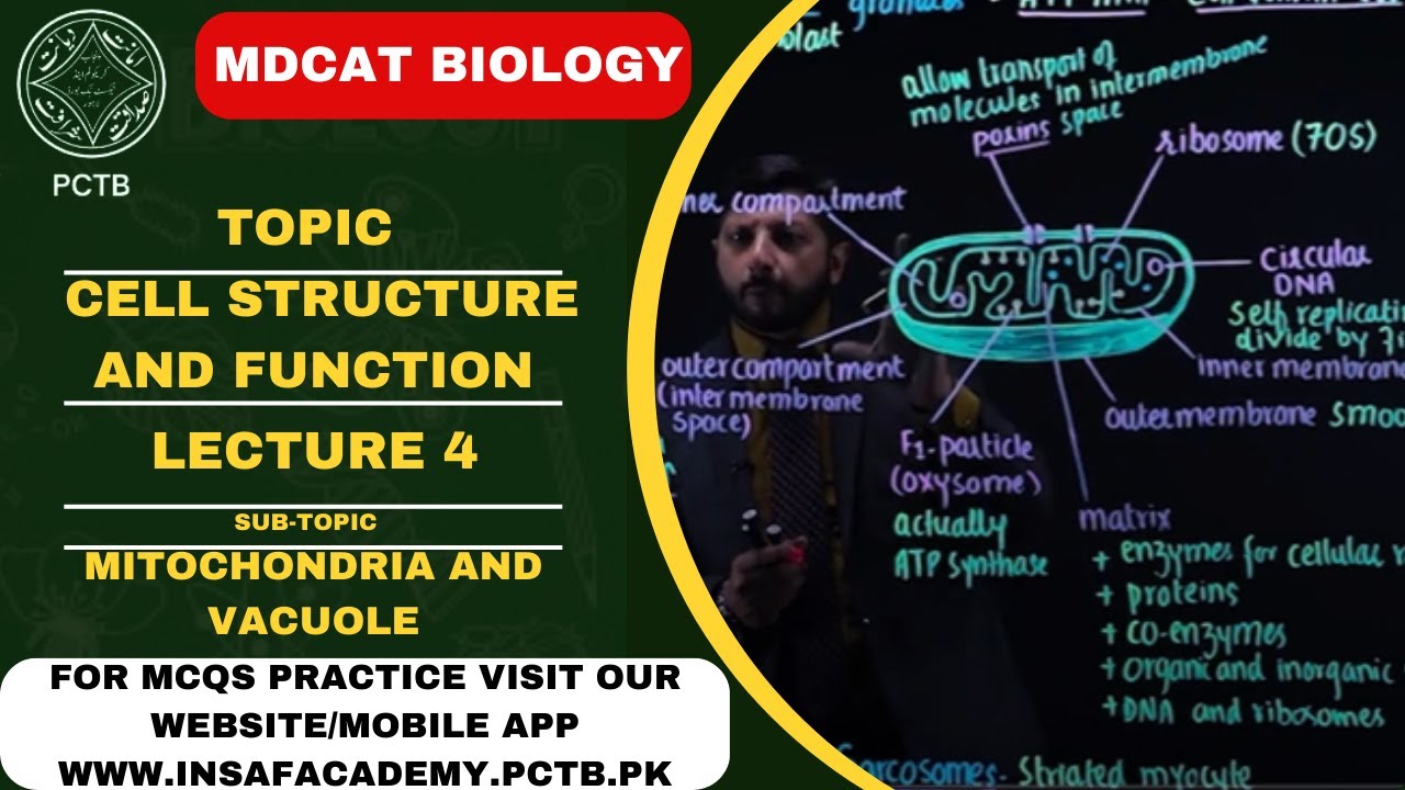 MITOCHONDRIA & VACUOLE || TOPIC || CELL STRUCTURE & FUNCTION || MDCAT ...