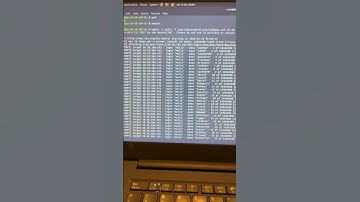 How to find your lost password with hydra