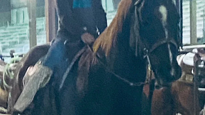 Kellie Hebert Barrel Horse