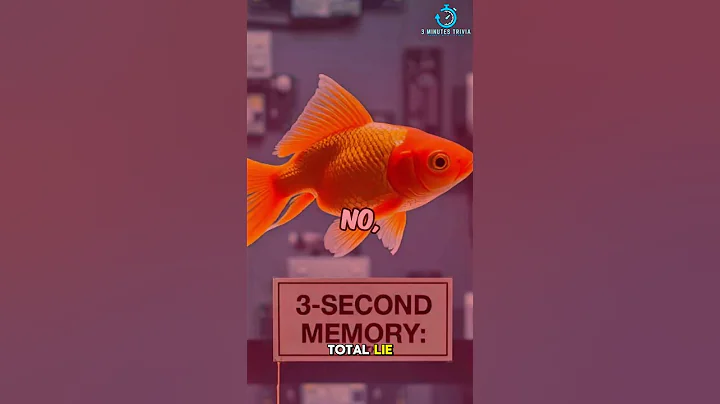True or False: Goldfish Have 3-Second Memory? #facts #trivia #goldfish #didyouknow #marinemystery