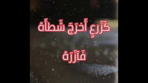 محمد رسول الله القارئ خالد الجليل