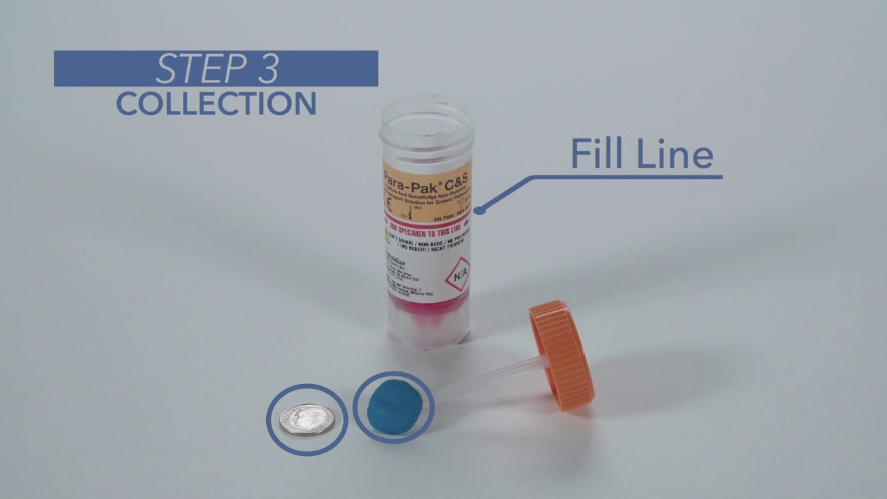 How To Collect A Stool Specimen - Youtube