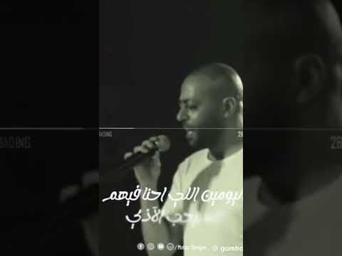 الفترة دي تامر عاشور