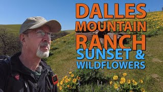 Dalles Mountain Ranch | Wildflowers & Sunset