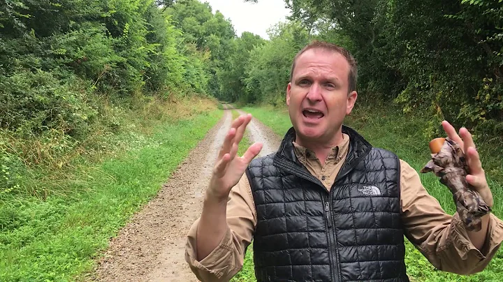 Historian Marty Morgan Discusses Normandy's Hedger...