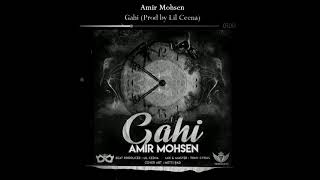 Amir Mohsen Gahi