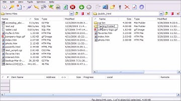 How to Manage files in CuteFTP