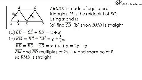 Vectors: parallel and straight lines