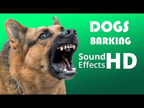 DOGS BARKING to Make your Dog Bark | Dog Breeds Barking Sound Effects HD