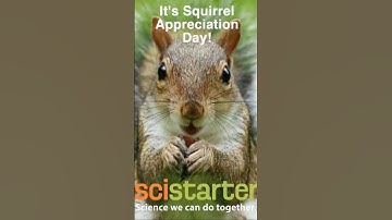 Go Nuts for Squirrels! Then visit SciStarter.org to find squirrel projects that need your help!