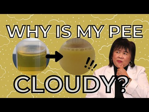 Why Is My Urine Cloudy?