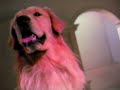 Coldwell Banker 1998 Television Commercial 