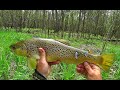 Wisconsin Trout Fishing - 5/16/2020