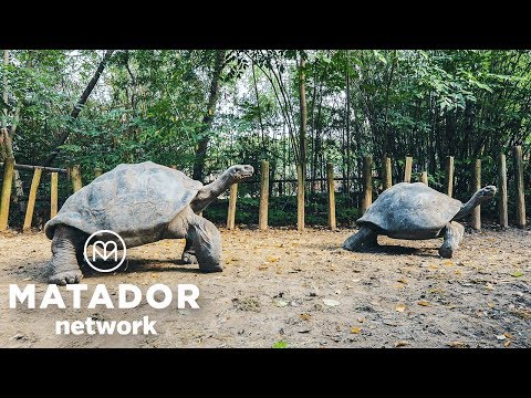 Video: Five For Friday - Matador Network