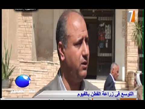 تعرف على زراعة القطن بالنظام التعاقدى بواسطة اكبر خبراء القطن فى مصر والعالم العربى