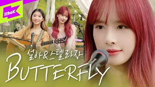 [4K] 편곡 천재 🎼 스텔라장과 음색 천재 🎤 설아의 BUTTERFLY 어쿠스틱 버전 라이브 | WJSN(우주소녀) | Stella Jang | 설아해 | 설아는 다 잘해