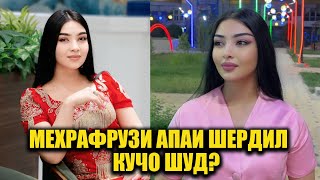 картинка: Мехрафрузи апаи Шердил кучо шуд?