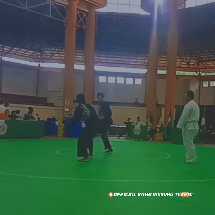 story wa pesilat terbaru,story wa pendekar terate:)