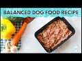 How to make highly Nutritious homemade dog food in Quick & Easy steps || Monkoodog