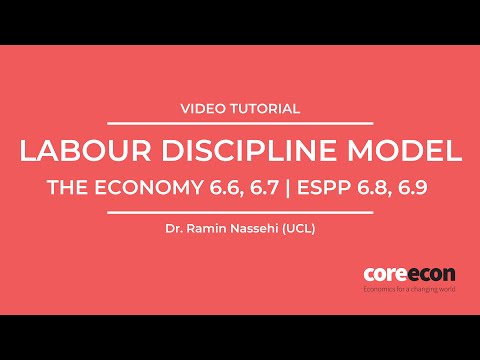 Video: Why Labor Discipline Is Needed