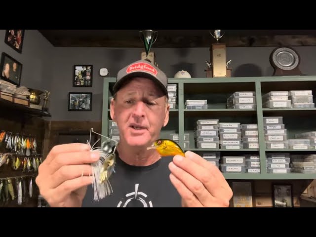 Shallow Water Bass Fishing Tricks Most Anglers Are Unaware Of
