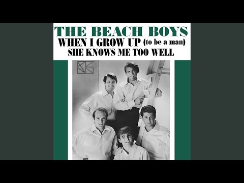 Punk music video thumbnail preview for The Beach Boys - She Knows Me Too Well