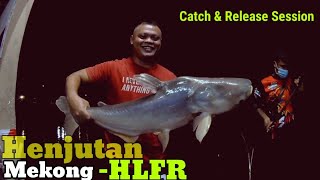 Fishing | Mekong Giant Catfish | Redtail Giant Catfish | Catch & Release .