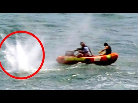 Video: The Worst Shark Attacks Filmed On Video - Alternative View